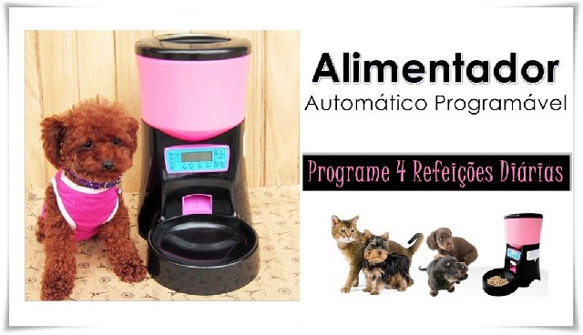 Foto 1 - Alimentador automtico programavel para cachorro